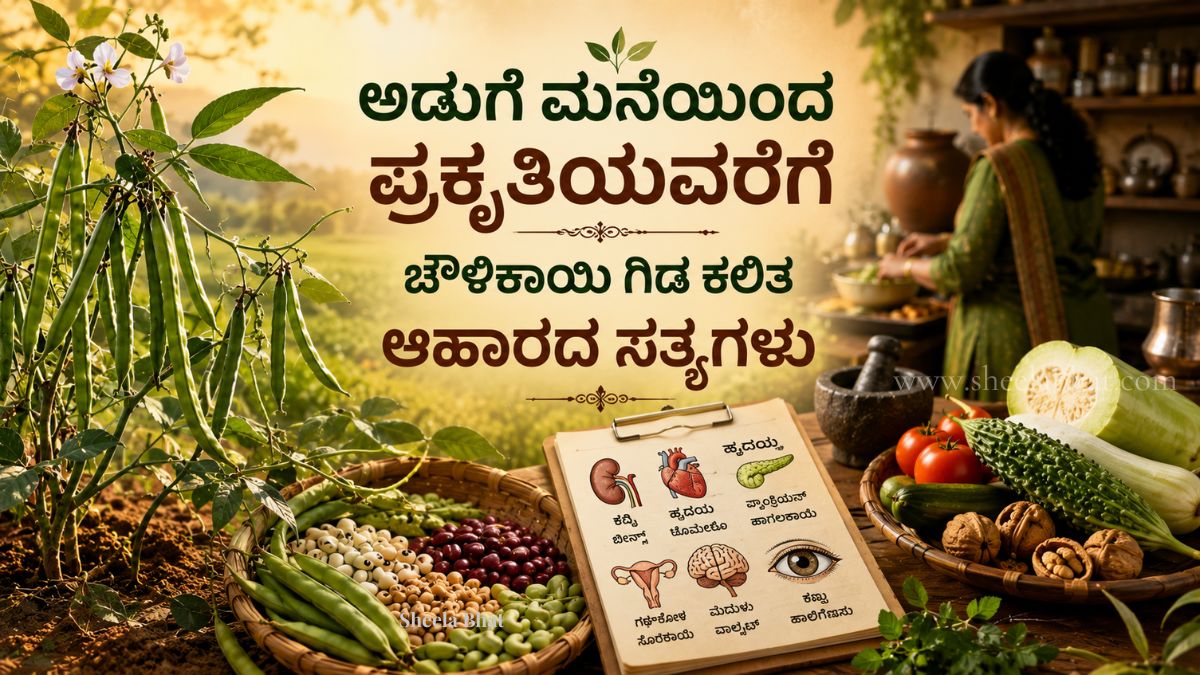 ಚೌಳಿಕಾಯಿ ಗಿಡ, ವಿವಿಧ ತರಕಾರಿಗಳು ಮತ್ತು ಆಹಾರ ಹಾಗೂ ದೇಹದ ಸಂಬಂಧವನ್ನು ತೋರಿಸುವ ಸಂಕೇತಾತ್ಮಕ ಚಿತ್ರ